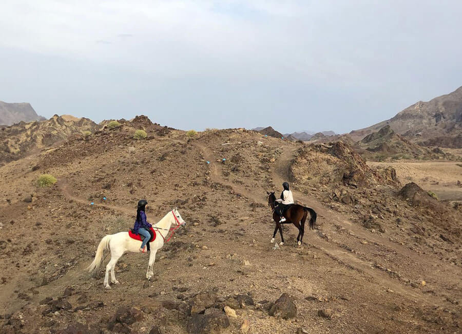10-hatta-horseback-riding-adventure-mountain-tour