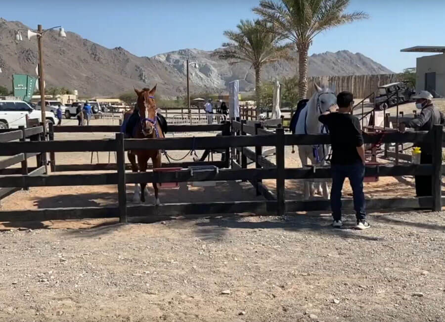 11-horseback-riding-families-kids-teenagers-colleagues-friends