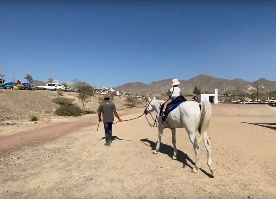 12-horse-riding-activities-hatta-wadi-hub
