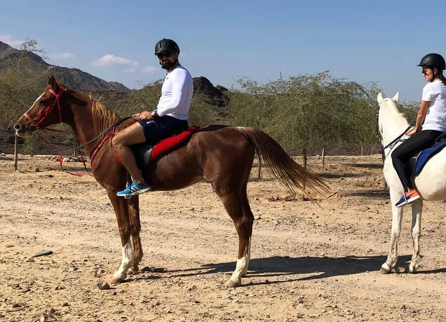 17-prices-rates-group-horse-riding-in-hatta-wadi-hub