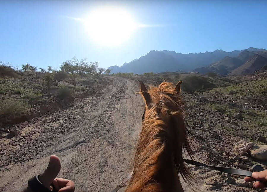 6-horseback-riding-arabian-horse-tours