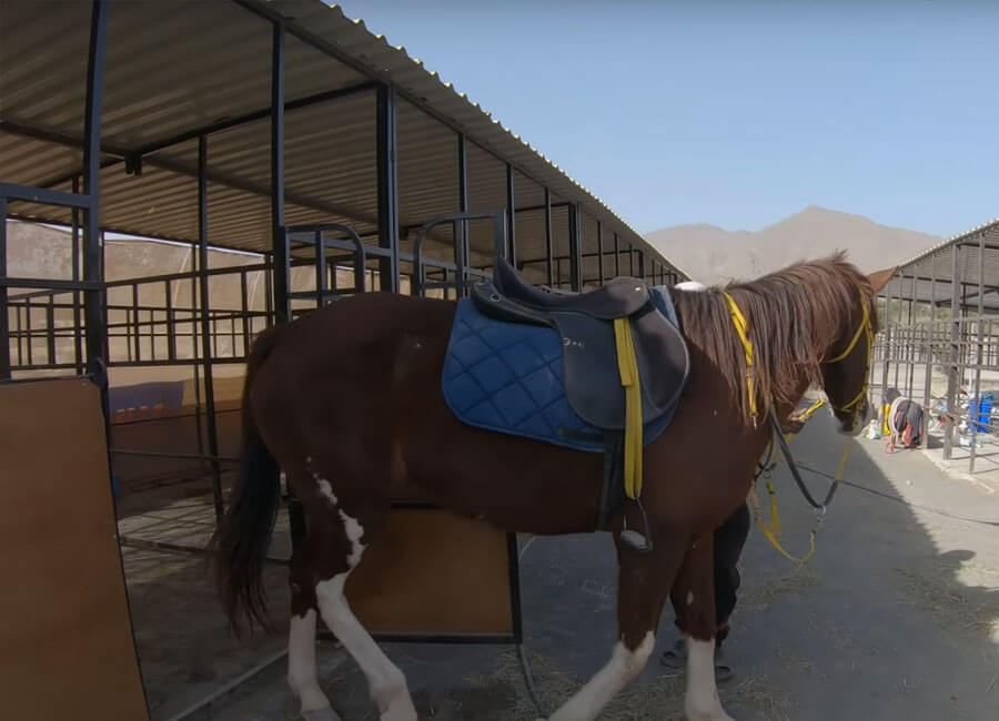 7-horse-riding-adventures-at-hatta-fort