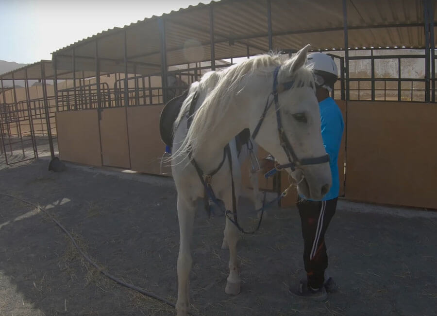 8-equestrian-adventures-in-the-mountains-hatta-uae